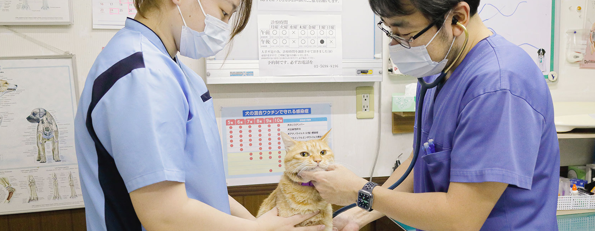 ふじわら動物病院