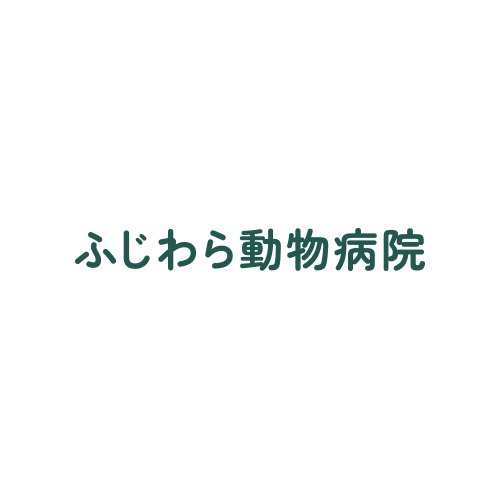 ふじわら動物病院 ペットホテル ペットホテルサービスと注意事項