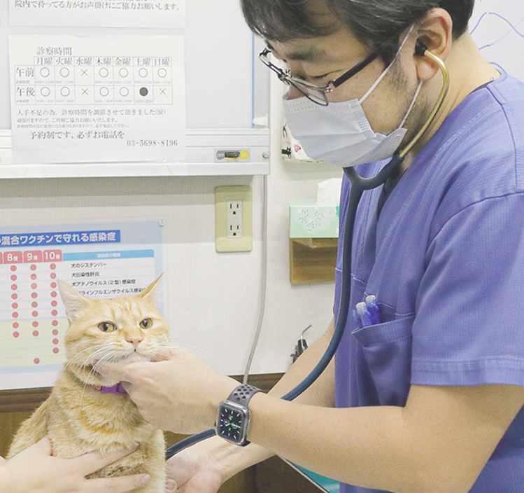 ふじわら動物病院